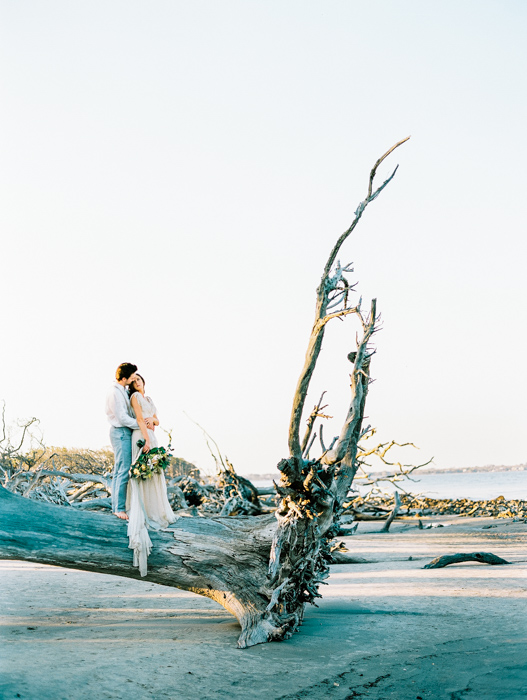 driftwood beach wedding photos
