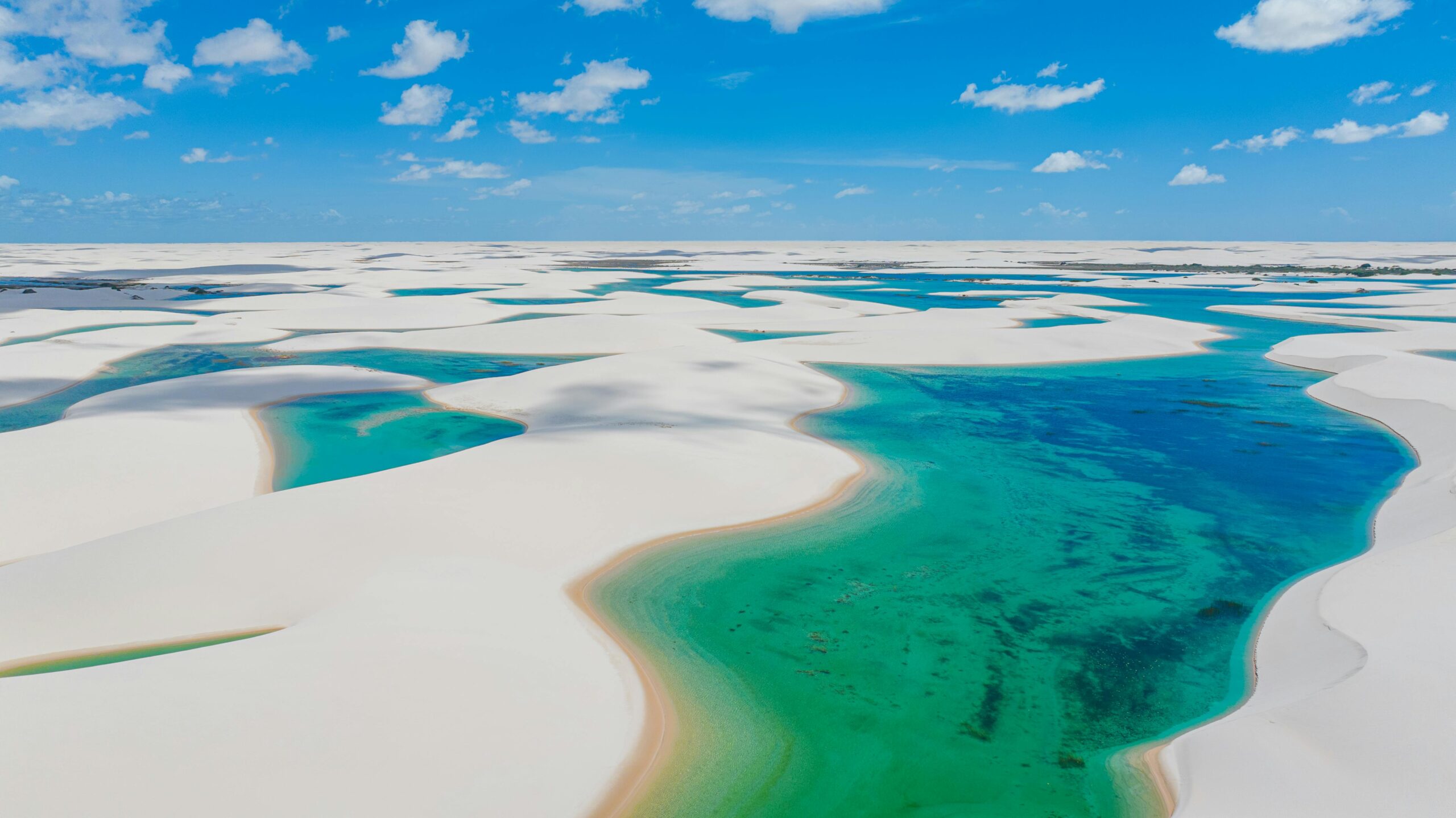 Hiring A Wedding Planner in Brazil: