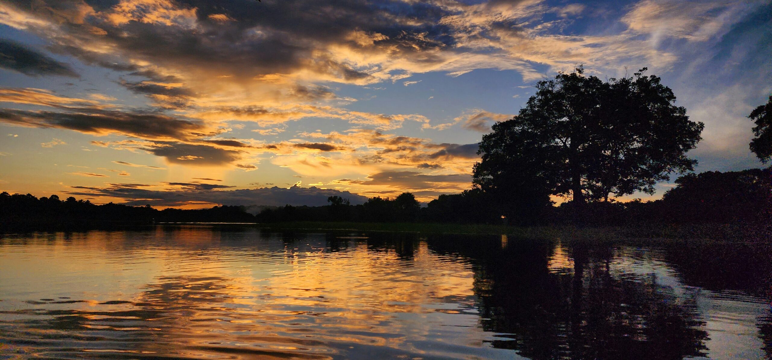 Amazon rainforest