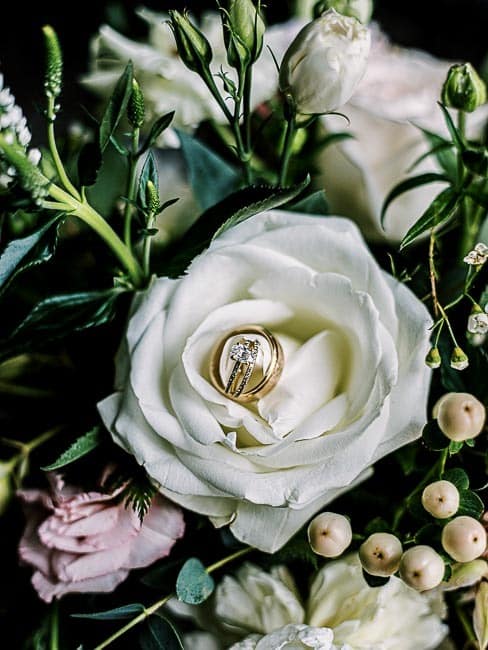 Gold rings on white rose surrounded by flowers.